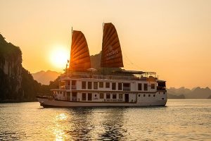 Tour Violet Cruise  – 3 Days/2 Nights